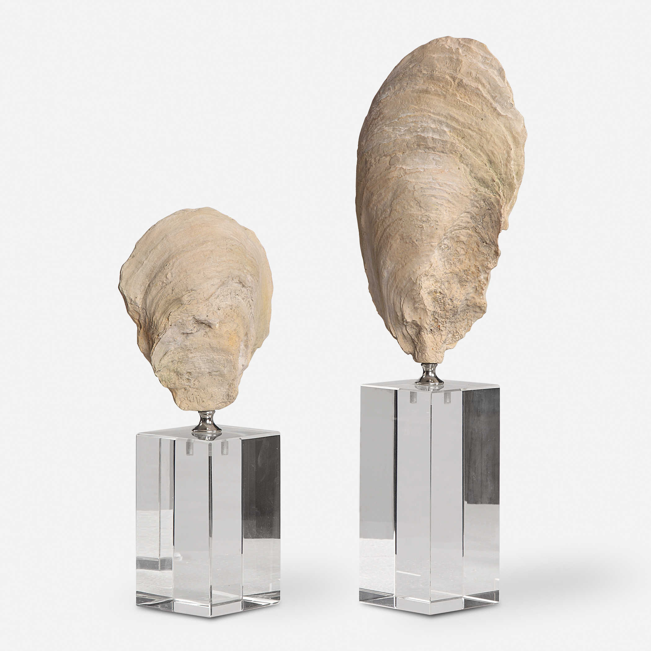 Lady Oyster Shell Sculptures Set