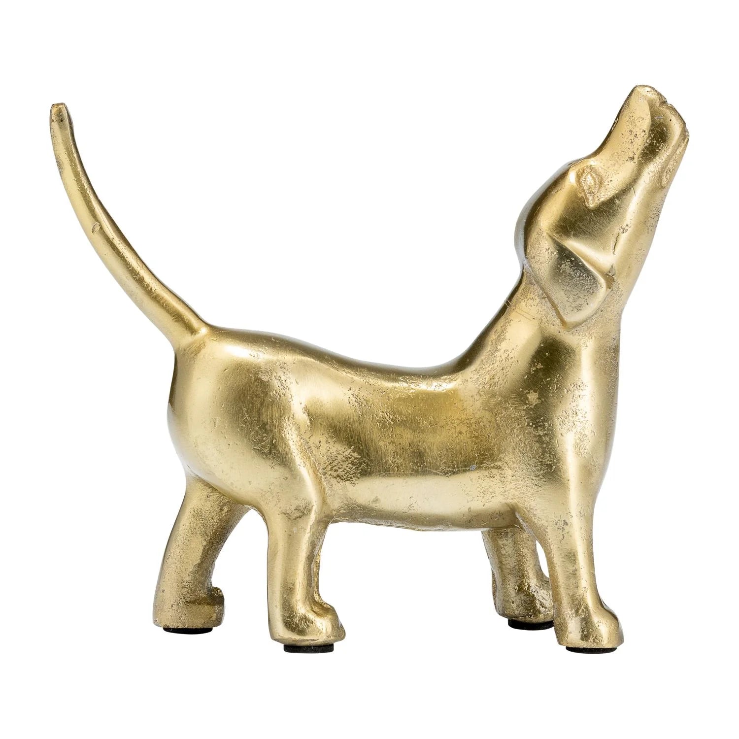 Perro de oro