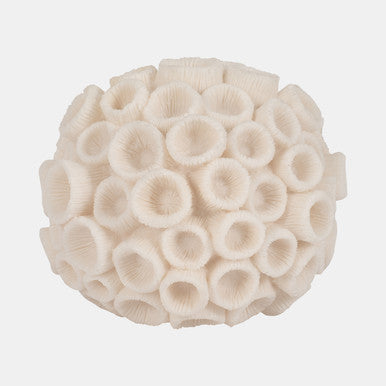 Lady Round Coral