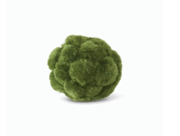 Green Sisal Moss Ball