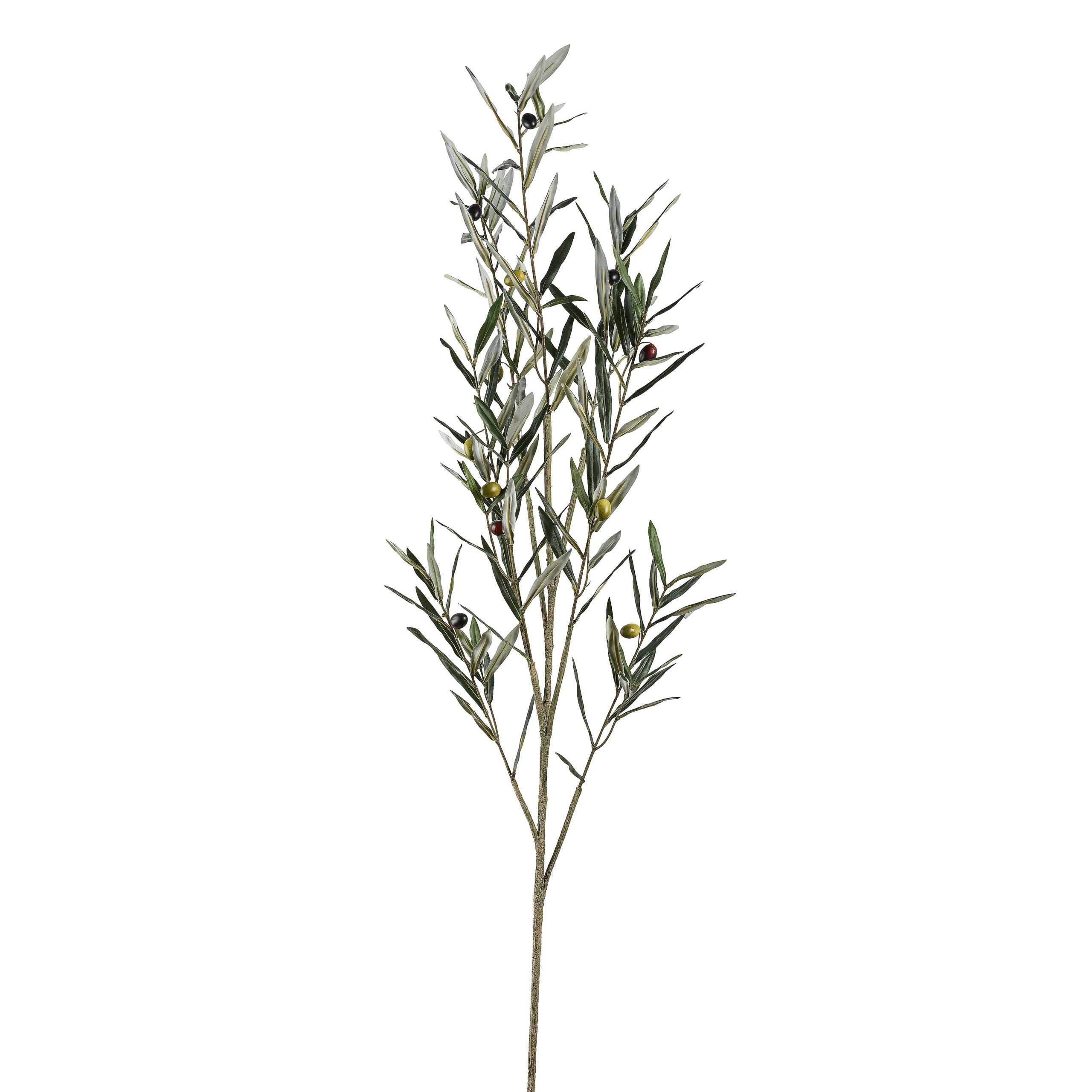 59″ Olive Spray