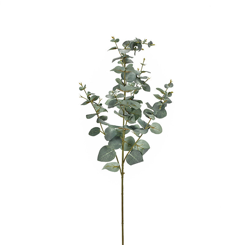 Eucalyptus Spray 38″H