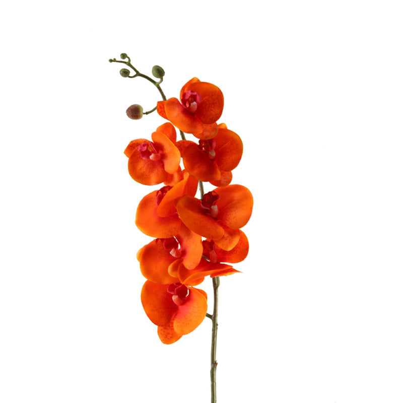 Orange Phael Orchid Stem 37.5″H