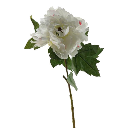 Cream/Pink Peony Stem 24″H